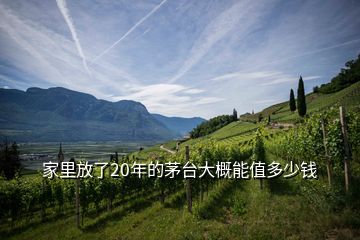 家里放了20年的茅臺大概能值多少錢