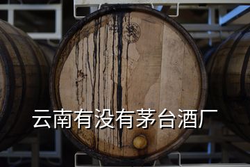 云南有沒有茅臺(tái)酒廠