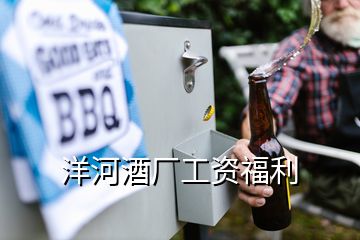 洋河酒廠工資福利