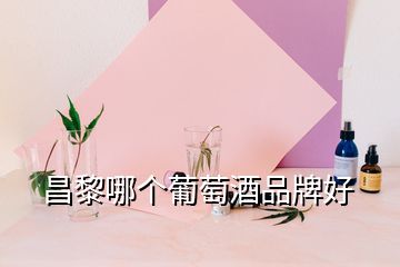 昌黎哪個葡萄酒品牌好