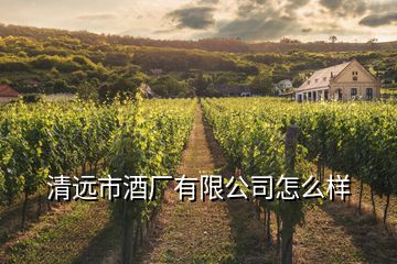 清遠市酒廠有限公司怎么樣