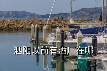 泗陽(yáng)以前有酒廠在哪