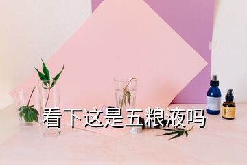 看下這是五糧液嗎