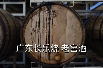 廣東長(zhǎng)樂燒 老窖酒