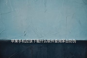 蘋果手機應(yīng)該下載什么軟件查詢茅臺防偽