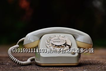 6931691113103貴州茅臺(tái)這瓶酒多少錢