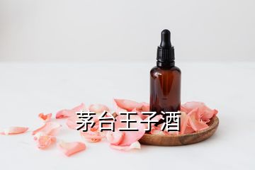 茅臺(tái)王子酒