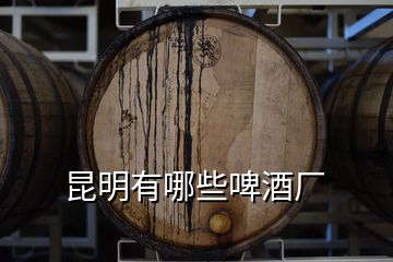 昆明有哪些啤酒廠