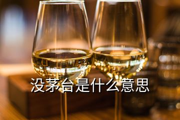 沒茅臺(tái)是什么意思