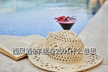 西鳳酒6年瓶身2001什么意思