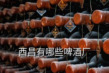 西昌有哪些啤酒廠