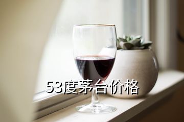 53度茅臺(tái)價(jià)格