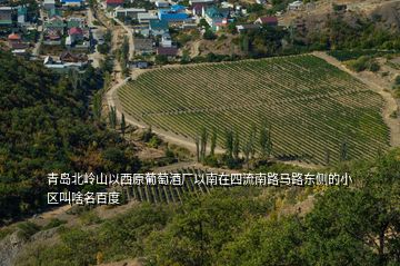 青島北嶺山以西原葡萄酒廠以南在四流南路馬路東側的小區(qū)叫啥名百度