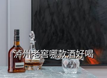 瀘州老窖哪款酒好喝