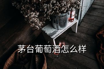 茅臺(tái)葡萄酒怎么樣