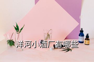 洋河小酒廠有哪些