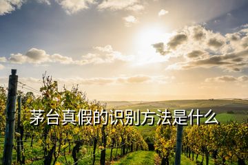 茅臺真假的識別方法是什么