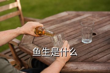 魚(yú)生是什么