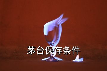 茅臺(tái)保存條件