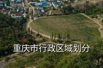 重慶市行政區(qū)域劃分