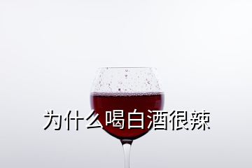 為什么喝白酒很辣