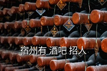 宿州有 酒吧 招人