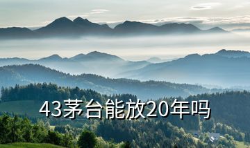 43茅臺能放20年嗎