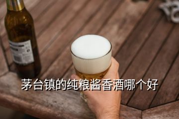 茅臺鎮(zhèn)的純糧醬香酒哪個好