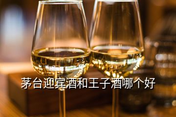 茅臺迎賓酒和王子酒哪個好