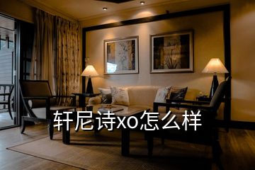 軒尼詩(shī)xo怎么樣