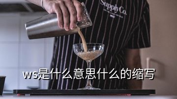 ws是什么意思什么的縮寫