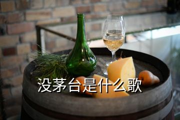 沒茅臺是什么歌