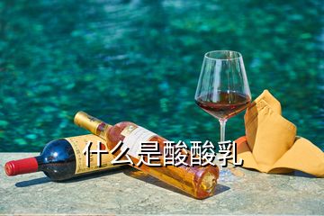 什么是酸酸乳