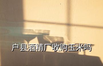 戶縣酒精廠收購玉米嗎