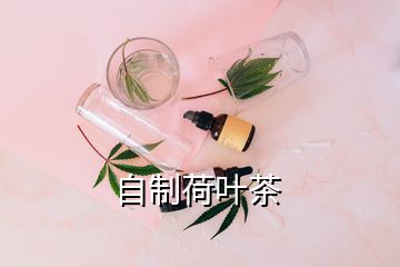 自制荷葉茶