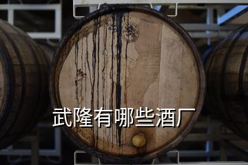 武隆有哪些酒廠