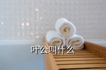 葉公叫什么