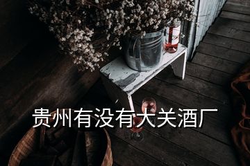 貴州有沒(méi)有大關(guān)酒廠(chǎng)