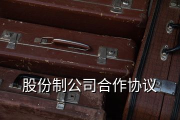 股份制公司合作協(xié)議