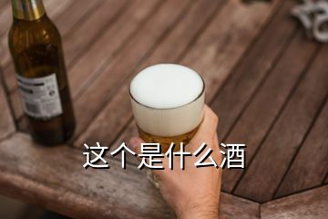 這個是什么酒