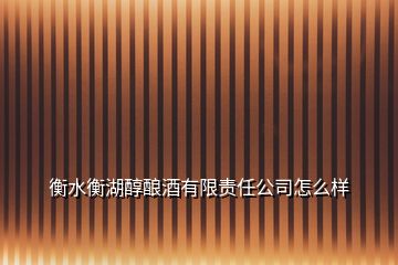 衡水衡湖醇釀酒有限責(zé)任公司怎么樣