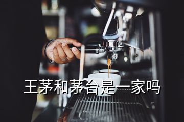 王茅和茅臺是一家嗎