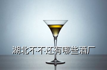 湖北不不還有哪些酒廠