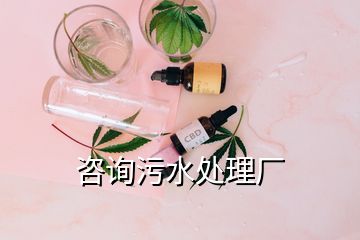 咨詢污水處理廠