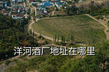 洋河酒廠(chǎng)地址在哪里