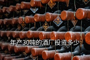 年產(chǎn)30噸的酒廠投資多少