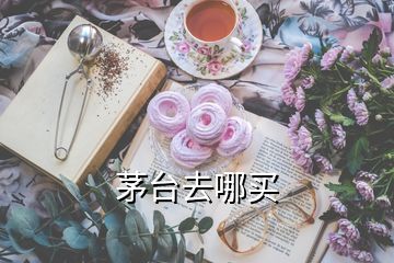 茅臺去哪買