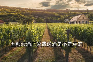 五糧液酒廠免費(fèi)送酒是不是真的