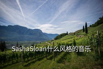 SashaSloan什么風(fēng)格的音樂