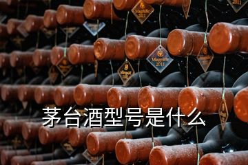 茅臺(tái)酒型號(hào)是什么